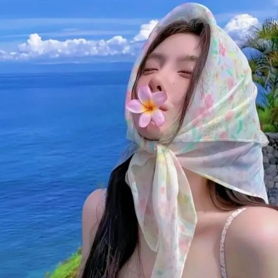 会飞的驴