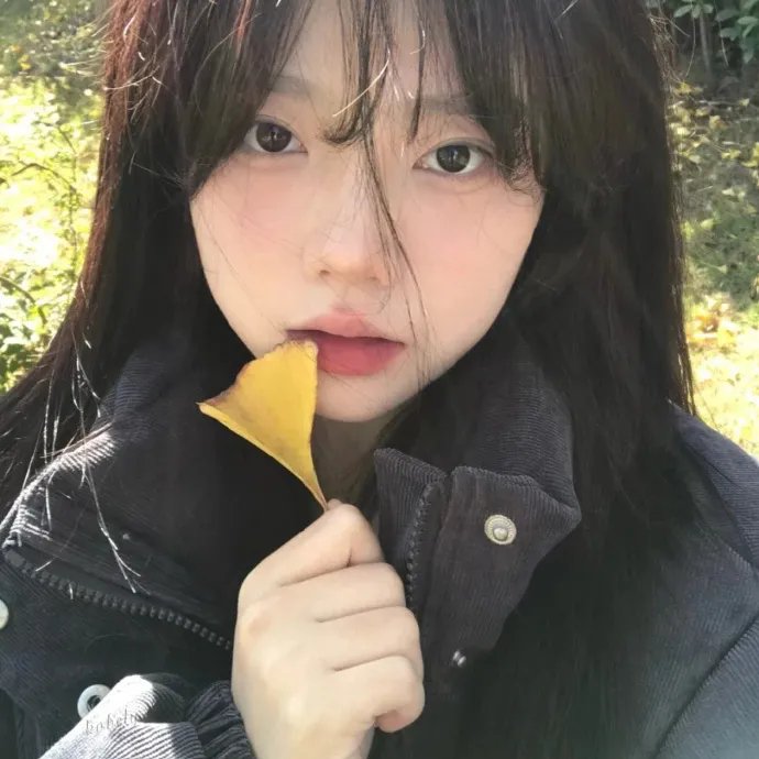 大熊猫传奇